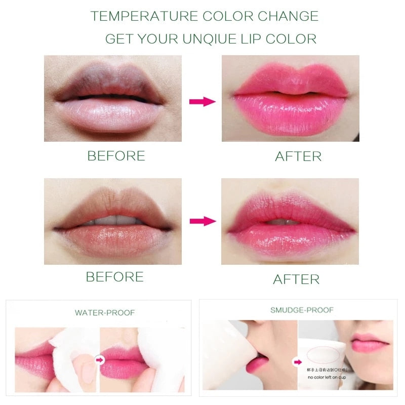 Bálsamo Labial Hidratante de Aloe Vera