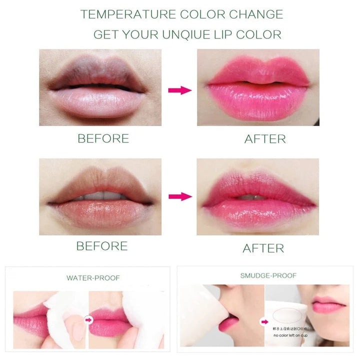 Bálsamo Labial Hidratante de Aloe Vera: Cuidado Natural para Tus Labios